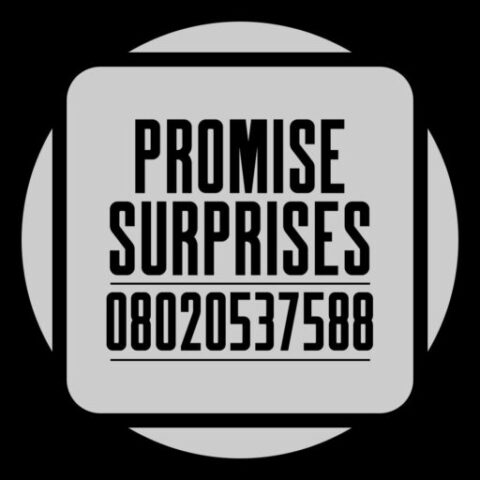 Promise Surprises Logo